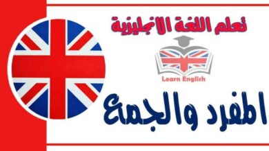 المفرد والجمع في اللغة الانجليزية