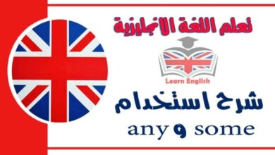 شرح استخدام  some و any في اللغة الانجليزية
