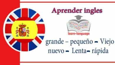 grande – pequeño - Viejo - nuevo - Lenta- rápida - Aprender ingles