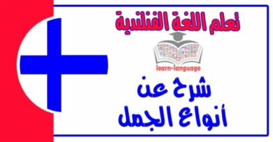 شرح عن أنواع جمل في اللغة الفنلندية