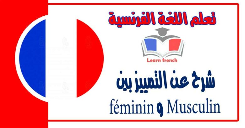 شرح عن التمييز بين Musculin و féminin  في اللغة الفرنسية 