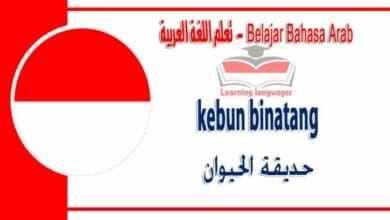 kebun binatang dalam bahasa Arab - حديقة الحيوان في اللغة العربية