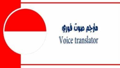 Voice translator