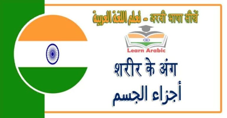 शरीर के अंग - अरबी भाषा में - ‫أجزاء الجسم‬ في اللغة العربية