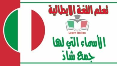 الأسماء التي لها جمع شاذ في اللغة الايطالية