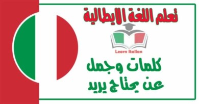 كلمات وجمل عن يحتاج يريد في اللغة الايطالية 