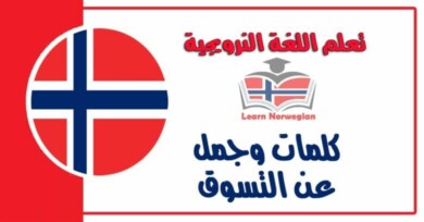 كلمات وجمل عن التسوق في اللغة النرويجية 