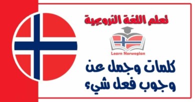 كلمات وجمل عن ‫وجوب فعل شيء‬ في اللغة النرويجية 