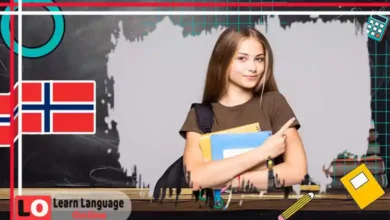 أداة النفي ikke في النرويجية