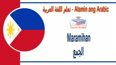 Maramihan Alamin ang Arabic - الجمع في اللغة العربية