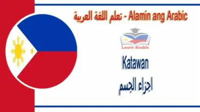 Katawan Alamin ang Arabic - اجزاء الجسم في اللغة العربية