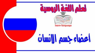 أعضاء الجسم في اللغة الروسية مع اللفظ بالعربي