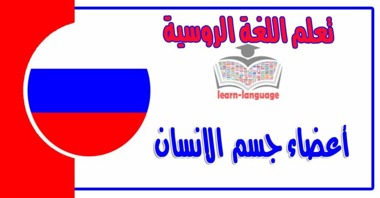 أعضاء الجسم في اللغة الروسية مع اللفظ بالعربي