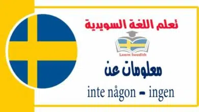 معلومات عن inte någon - ingen في اللغة السويدية