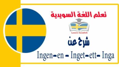 شرح عن Ingen-en - Inget-ett- Inga في اللغة السويدية 