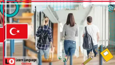 أداة النفي في التركية değil: مع الجملة الاسمية والفعلية